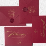 Euro Flap Envelopes (5 Pack) Bronzing Style