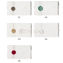 Euro Flap Envelopes (2 Pack) Hand Tear Style