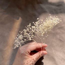 Envelope Accessories Gypsophila (3 Pack)