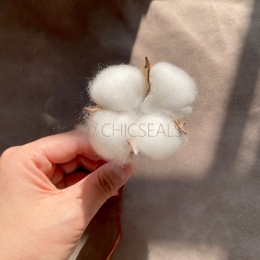 Envelope Accessories Cotton Branches